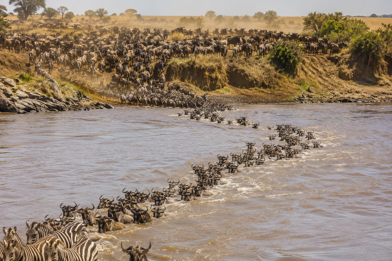 Safari vehicle during sunrise in Serengeti